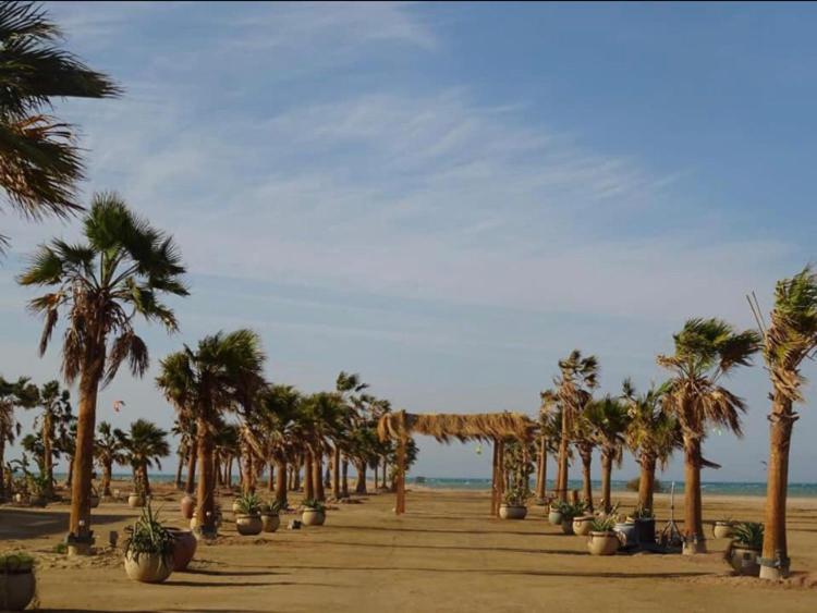Mangroovy - Elgouna Authentic Designer Shared 2 Bdr Each With Private Bathroom For Kitesurfers With Pool View & Access Séjour chez l'habitant